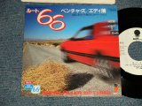 Photo: THE VENTURES ベンチャーズ + エディ潘 EDDIE BAN  - A)ROUTE 66 ルート66  ROCK VERSION  B) ROUTE 66 ルート66  JAZZ VERSION (MINT-/MINT-) / 1982 JAPAN ORIGINAL "PROMO / PRICE Mark Cut".. Used 7" Single 