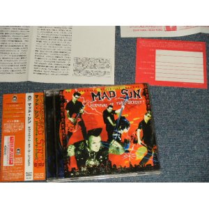 Photo: MAD SIN マッド・シン - SURVIVAL OF THE SICKEST (COMPLETE SET)  (MINT/MINT) / 2003 JAPAN ORIGINAL "PROMO"  Used CD With OBI オビ付