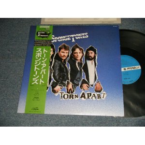 Photo: SPONGETONES スポンジトーンズ - TORN APART トーン・アパート (MINT-/MINT) / 1985 JAPAN ORIGINAL Used LP with OBI 