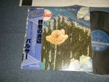 Photo: PULSAR パルサー - THE SOUNDS OF THE FUTURE PULSAR  終着の浜辺(MINT-/MINT-) / JAPAN REISSUE Used LP with OBI