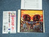 Photo: STEPPENWOLF ステッペンウルフ - セヴン 7 (MINTMINT)  / 1995 JAPAN Used CD With OBI