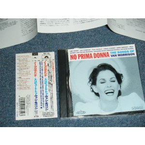 Photo: v.a. Various - NO PRIMADONNA : THE SONGS OF VAN MORRISON ノー・プリマドンナ~トリビュート・トゥ・バン・モリソン (MINT/MINT) / 1994 JAPAN ORIGINAL "PROMO" Used LCD with OBI
