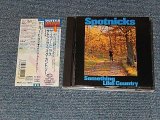 Photo: THE SPOTNICKS ザ・スプートニクス - SOMETHING LIKE COUNTRY サムシング・ライク・カントリー (Ex++/MINT) / 1994 JAPAN ORIGINAL Used CD with OBI 