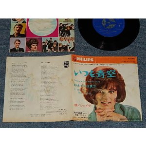 Photo: SHEILA  シェイラ - A)Toujours Des Beaux Jours いつも青空   B)C'est Toi Que J'aime 好きなのは貴方  (VG/Ex++ WTRDMG)   / 1966 5APAN ORIGINAL Used 7" 45rpm SINGLE