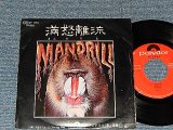 Photo: MADRILL マンドリル - A) MADRILL  B)WARNING BLUES (Ex/MINT-) /1971 JAPAN ORIGINAL Used 7"45 Single