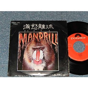 Photo: MADRILL マンドリル - A) MADRILL  B)WARNING BLUES (Ex/MINT-) /1971 JAPAN ORIGINAL Used 7"45 Single
