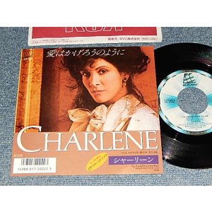 Photo: CHARLENE シャーリーン - A) I'VE NEVER BEEN TO ME 愛はかげろうのように  B) SOMEWHERE IN MY LIFE (MINT-/MINT-) /1986 JAPAN ORIGINAL Used 7"45 Single
