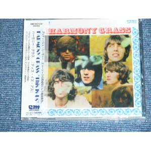 Photo: HARMONY GRASS - THIS IS US   / 1998 JAPAN ONLY Brand New Sealed CD  Out-Of-Print 