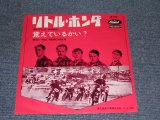 Photo: THE BEACH BOYS  - LITTLE HONDA / 1960s JAPAN ORIGINAL RED Wax & BLACK Wax Vinyl  used 7"Single
