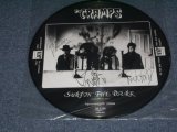 Photo: THE CRAMPS - SURFIN' THE DARK  /  2002 COLLECTOR'S? BOOT? PICTURE DISC Brand New LP 