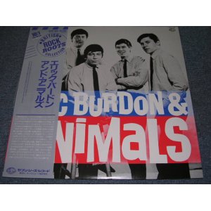 Photo: ERIC BURDON & THE ANIMALS - ERIC BURDON & THE ANIMALS / 1983 JAPAN REISSUE MINT- LP With OBI