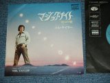 Photo: MEL TAYLOR of THE VENTURES - MAGIC NIGHT ( Ex++/Ex+++ ) / 1972 JAPAN ORIGINAL 7"SINGLE 