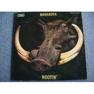 Photo: NAVASOTA (With DON FAGEN/WALTER BECKE of STEELY DAN,JEFF BAXTER of THE DOOBIE BROTHERS etc.) - ROOTIN' / 1972/ WHITE LABEL PROMO 1973 JAPN FIRST RELEASE on TOSHIBA LP