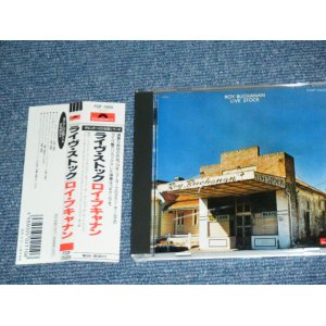 Photo: ROY BUCHANAN - LIVE STOCK / 1989 JAPAN 2nd Price Mark  Used CD With OBI