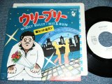 Photo: HIT & RUN - WOOLY BULLY  / 1978 JAPAN ORIGINAL White Label Promo Used 7"Single 