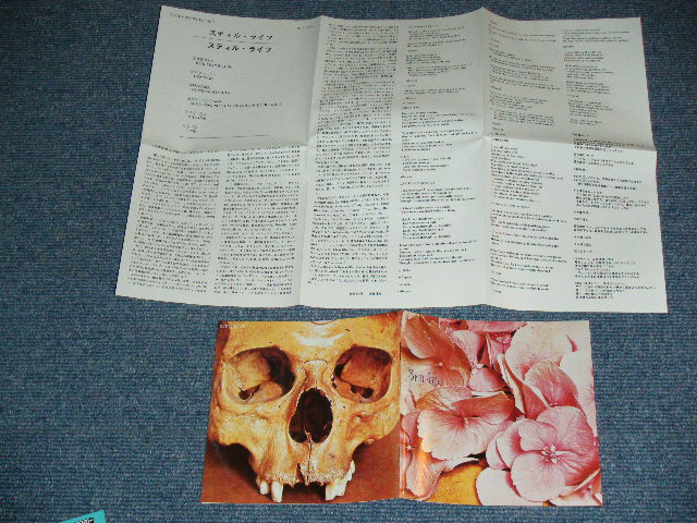 Photo: STILL LIFE - STILL LIFE  / 1991 GERMAN + 1993 JAPAN OBI&LINNER  ISSUED VERSION  Used CD With OBI 