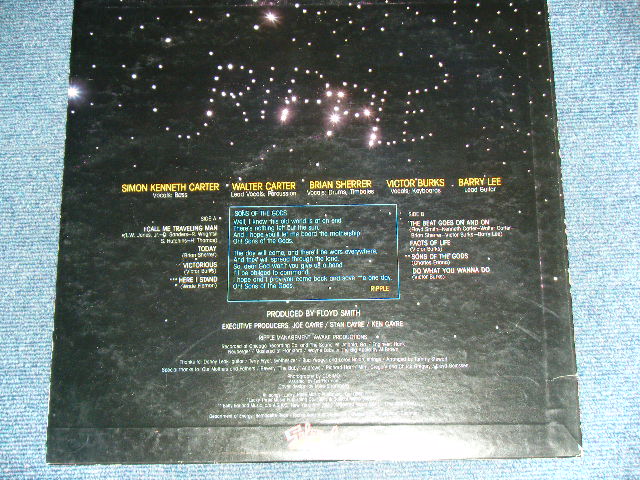 Photo: RIPPLE リップル - SONS OF THE GODS 宇宙への賛歌  / 1978  JAPAN ORIGINAL White LabelPROMO Used LP 