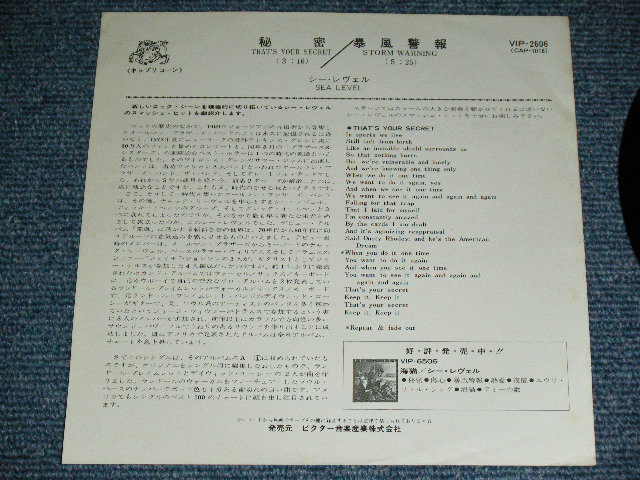 Photo: SEA LEVEL - THAT'S YOUR SEACRET  / 1970's JAPAN ORIGINAL White Label PROMO   Used 7"45 rpm Single With PICTURE COVER