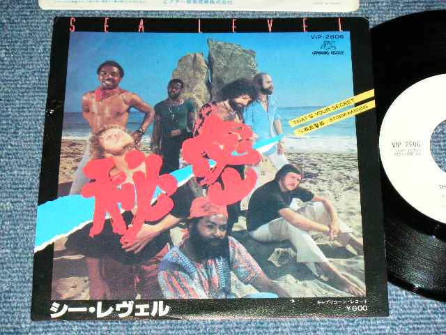 Photo1: SEA LEVEL - THAT'S YOUR SEACRET  / 1970's JAPAN ORIGINAL White Label PROMO   Used 7"45 rpm Single With PICTURE COVER