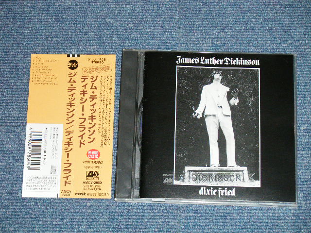 Photo1: JAMES LUTHER DICKINSON ジム・ディッキンソン - DIXIE FRIED ディキシー・フライド(MINT-/MINT)  /  1998 JAPAN ORIGINAL Used CD  With OBI 