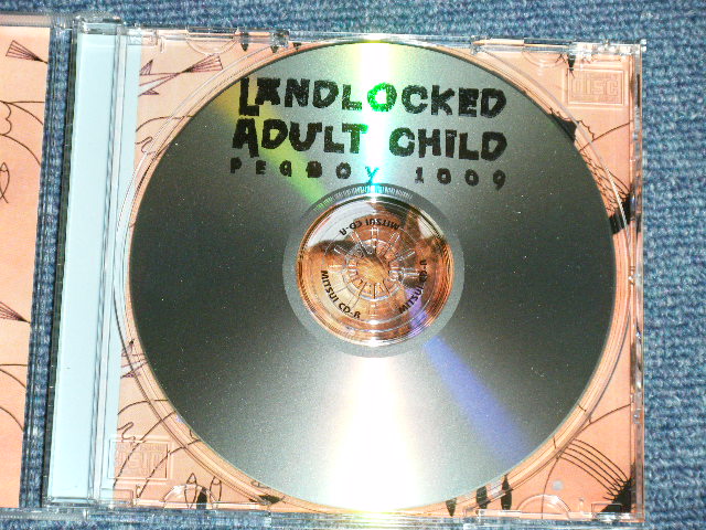 Photo: THE BEACH BOYS - LANDLOCKED +ADULT CHILD ( 2 in 1 ) ( NEW )    /  COLLECTOR'S BOOT "BRAND NEW"  CD-R 