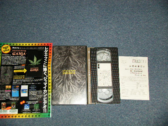 Photo1: VIRTTUAL TRIP JAMAICA  ヴァーチャル・トリップ　ジャマイカ  (MINT/MINT)  /  1996  JAPAN ORIGINAL  Used VIDEO 