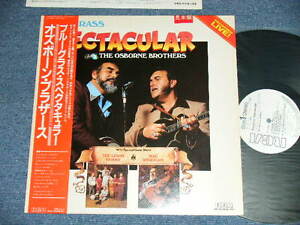Photo1: OSBORNE BROTHERS オズボーン・ブラザーズ - BLUEGRASS SPECTACULAR ブルーグラス・スペクタキュラー (Ex++/MINT) /1982 JAPAN ORIGINAL "WHITE LABEL PROMO" Used LP with OBI