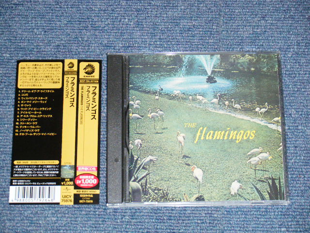 Photo1: THE FLAMINGOS フラミンゴス - THE FLAMINGOS フラミンゴス(MINT-/MINT) / 2013 JAPAN Used CD with OBI