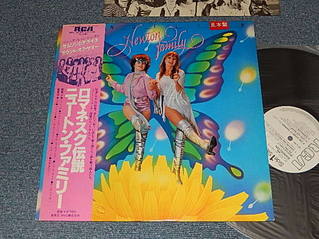 Photo1: NEWTON FAMILY ニュートン・ファミリー - DANDELION ロメネスク (Ex+++/MINT-) / 1981 JAPAN ORIGINAL "WHITE LABEL PROMO" Used LP with OBI