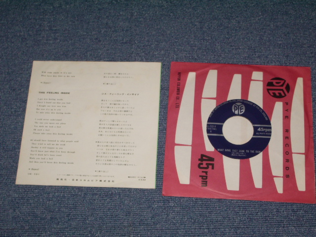 Photo: THE SEARCHERS - WHAT HAVE THEY  DONE TO THE RAIN / 1965 JAPAN ORIGINAL Used 7" Single
