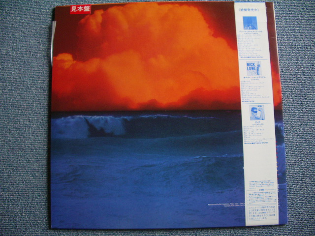 Photo: TOM ROBINSON - HOPE AND GLORY / 1984 JAPAN WHITE LABEL PROMO LP + OBI 