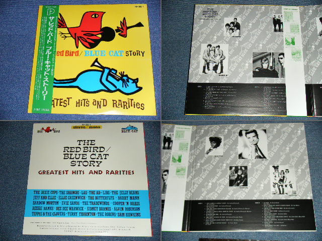 Photo: VARIOUS / OMNIBUS - THE RED BIRD/BLUE CAT STORY / 1987 JAPAN  ORIGINAL  Used 2LP  With OBI 