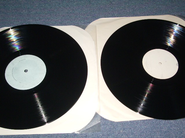 Photo: LED ZEPPELIN - ON BLUEBERRY HILL /  COLLECTORS  2 LP  