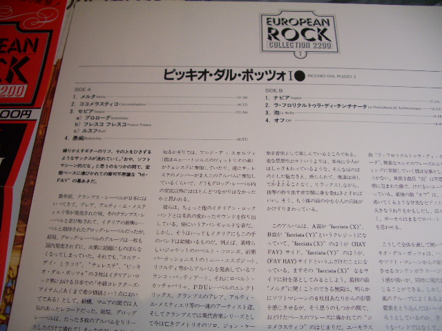 Photo: PICCHIO DAL POZZO - PICCHIO DAL POZZO  / 1982 JAPAN LP With OBI