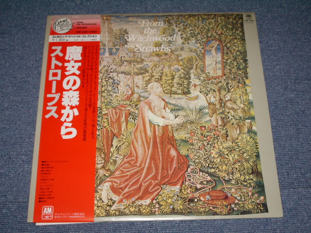 Photo1: STRAWBS - FROM THE WITCHWOOD   / 1978 JAPAN  Used  LP With OBI 